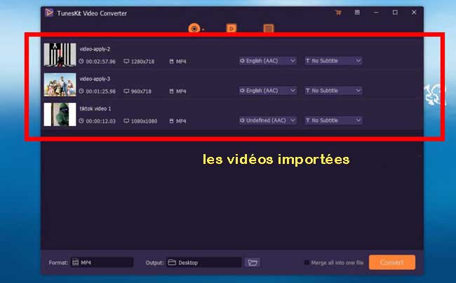 l'interface de tuneskit video converter