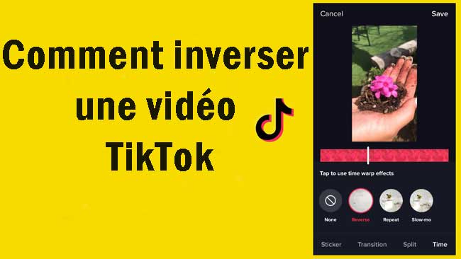 comment inverser une vidéo tiktok