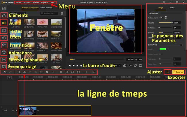 l'interface d'acemovi